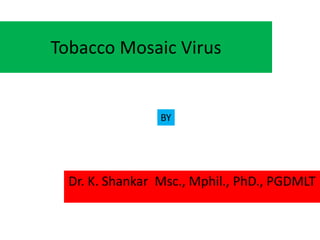 Tobacco Mosaic Virus
Dr. K. Shankar Msc., Mphil., PhD., PGDMLT
BY
 