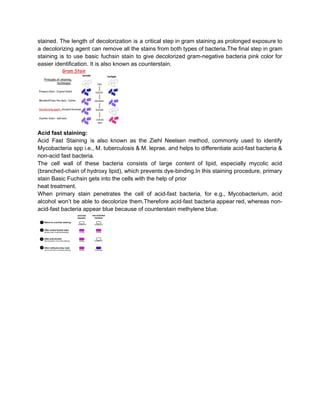Introductory_Microbiology notes _.pdf