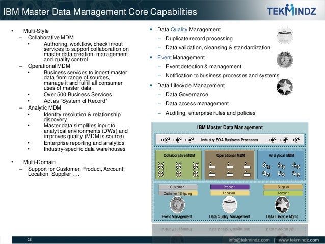 TekMindz Master Data Management Capabilities