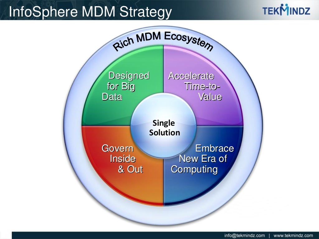 TekMindz Master Data Management Capabilities