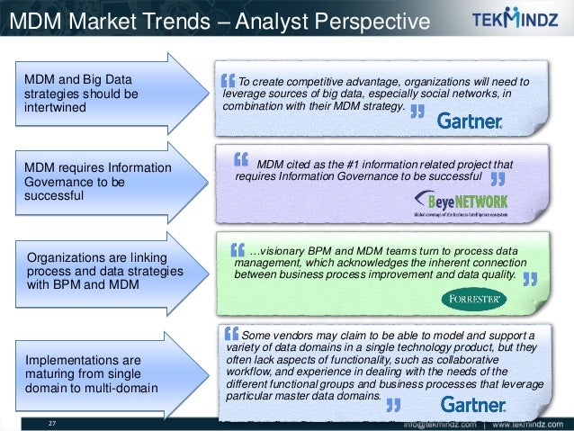 TekMindz Master Data Management Capabilities