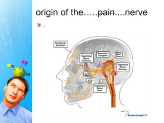 origin of the…..pain....nerve
 .
 