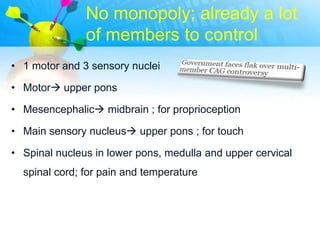 No monopoly; already a lot
               of members to control
• 1 motor and 3 sensory nuclei

• Motor upper pons

• Mesencephalic midbrain ; for proprioception

• Main sensory nucleus upper pons ; for touch

• Spinal nucleus in lower pons, medulla and upper cervical
  spinal cord; for pain and temperature
 