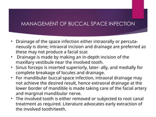 facial spaces in maxillofacial region.pptx