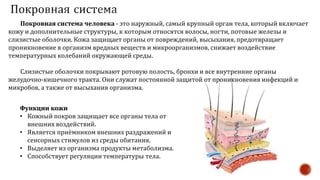 Покровная система человека - это наружный, самый крупный орган тела, который включает
кожу и дополнительные структуры, к которым относятся волосы, ногти, потовые железы и
слизистые оболочки. Кожа защищает органы от повреждений, высыхания, предотвращает
проникновение в организм вредных веществ и микроорганизмов, снижает воздействие
температурных колебаний окружающей среды.
Слизистые оболочки покрывают ротовую полость, бронхи и все внутренние органы
желудочно-кишечного тракта. Они служат постоянной защитой от проникновения инфекций и
микробов, а также от высыхания организма.
Функции кожи
• Кожный покров защищает все органы тела от
внешних воздействий.
• Является приёмником внешних раздражений и
сенсорных стимулов из среды обитания.
• Выделяет из организма продукты метаболизма.
• Способствует регуляции температуры тела.
 