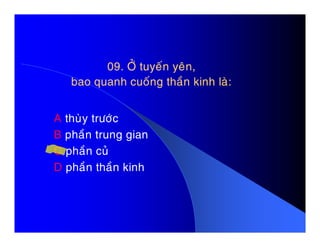 09. ÔÛ tuyeán yeân,09. ÔÛ tuyeán yeân,
bao quanh cuoáng thaàn kinh laø:bao quanh cuoáng thaàn kinh laø:
A thuøy tröôùcA thuøy tröôùc
B phaàn trung gian
C phaàn cuû
D phaàn thaàn kinh
 
