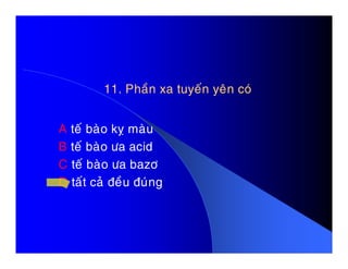 11. Phaàn xa tuyeán yeân coù11. Phaàn xa tuyeán yeân coù
A teá baøo kî maøuA teá baøo kî maøu
B teá baøo öa acid
C teá baøo öa bazô
D taát caû ñeàu ñuùng
 