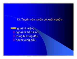 13. Tuyeán yeân tuyeán coù xuaát nguoàn13. Tuyeán yeân tuyeán coù xuaát nguoàn
A ngoaïi bì mieängA ngoaïi bì mieäng
B ngoaïi bì thaàn kinh
C trung bì vuøng ñaàu
D noäi bì vuøng ñaàu
 