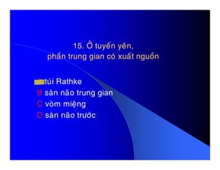15. ÔÛ tuyeán yeân,15. ÔÛ tuyeán yeân,
phaàn trung gian coù xuaát nguoànphaàn trung gian coù xuaát nguoàn
A tuùi RathkeA tuùi Rathke
B saøn naõo trung gian
C voøm mieäng
D saøn naõo tröôùc
 