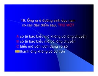 19. OÁng ra ôû ñöôøng sinh duïc nam19. OÁng ra ôû ñöôøng sinh duïc nam
coù caùc ñaëc ñieåm sau,coù caùc ñaëc ñieåm sau, TRÖØ MOÄTTRÖØ MOÄT
A coù teá baøo bieåu moâ khoâng coù loâng chuyeånA coù teá baøo bieåu moâ khoâng coù loâng chuyeån
B coù teá baøo bieåu moâ coù loâng chuyeån
C bieåu moâ uoán löôïn daïng voû soø
D thaønh oáng khoâng coù cô trôn
 