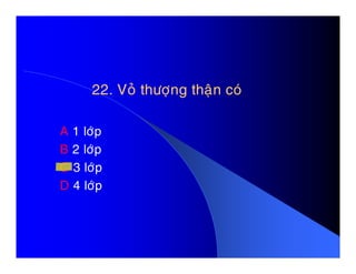22. Voû thöôïng thaän coù22. Voû thöôïng thaän coù
A 1 lôùpA 1 lôùp
B 2 lôùp
C 3 lôùp
D 4 lôùp
 