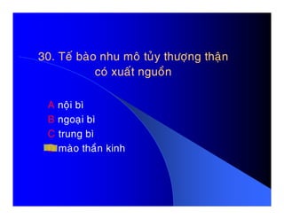 30. Teá baøo nhu moâ tuûy thöôïng thaän30. Teá baøo nhu moâ tuûy thöôïng thaän
coù xuaát nguoàncoù xuaát nguoàn
A noäi bìA noäi bì
B ngoaïi bì
C trung bì
D maøo thaàn kinh
 