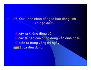 36. Quaù trình nhaân doøng teá baøo doøng tinh36. Quaù trình nhaân doøng teá baøo doøng tinh
coù ñaëc ñieåm:coù ñaëc ñieåm:
A xaûy ra khoâng ñoàng boäA xaûy ra khoâng ñoàng boä
B caùc teá baøo con cuøng doøng vaãn dính nhau
C dieãn ra trong voøng 64 ngaøy
D taát caû ñeàu ñuùng
 