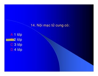 14. Noäi maïc töû cung coù:14. Noäi maïc töû cung coù:
A 1 lôùp
B 2 lôùpB 2 lôùp
C 3 lôùp
D 4 lôùp
 
