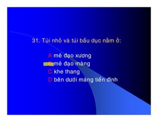 31. Tuùi nhoû vaø tuùi baàu duïc naèm ôû:31. Tuùi nhoû vaø tuùi baàu duïc naèm ôû:
A meâ ñaïo xöông
B meâ ñaïo maøngB meâ ñaïo maøng
C khe thang
D beân döôùi maøng tieàn ñình
 