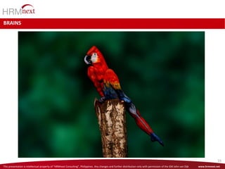 This presentation is intellectual property of “HRMnext Consulting”, Philippines. Any changes and further distribution only with permission of the GM John van Dijk www.hrmnext.net
55
BRAINS
 