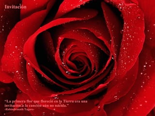 Invitación “ La primera flor que floreció en la Tierra era una invitación a la canción aún no nacida.”  -Rabindranath Tagore- 