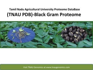 Tamil Nadu Agricultural University Proteome DataBase
(TNAU PDB)-Black Gram Proteome
Visit TNAU Genomics at www.tnaugenomics.com
 
