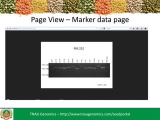 Page View – Marker data page

TNAU Genomics – http://www.tnaugenomics.com/seedportal

 