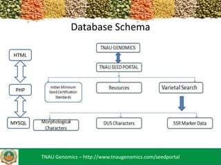 Database Schema
HTML

PHP

MYSQL

TNAU Genomics – http://www.tnaugenomics.com/seedportal

 