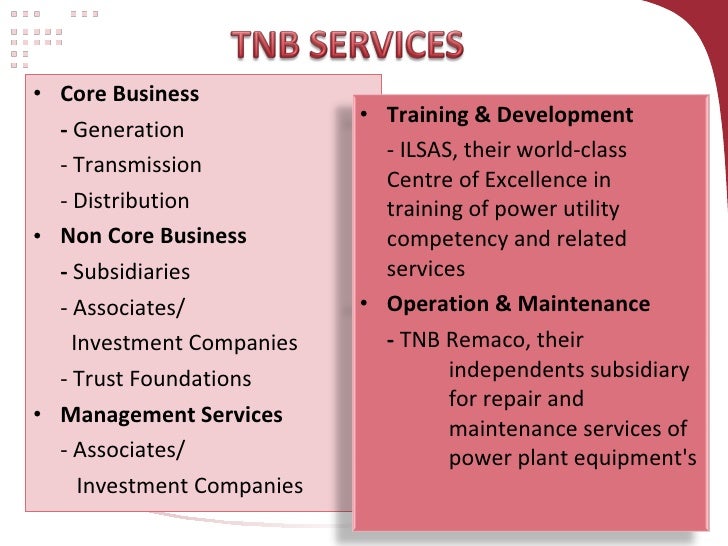 Tnb Organization Chart 2017