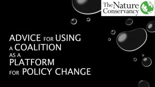 ADVICE FOR USING
A COALITION
AS A
PLATFORM
FOR POLICY CHANGE
 