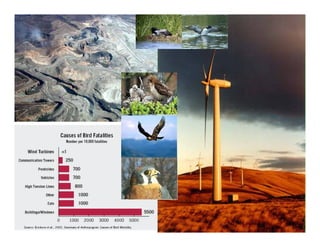 Tnc Wind Presentation 01 07