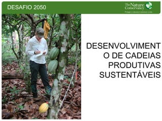 DESAFIO 2050

DESENVOLVIMENT
O DE CADEIAS
PRODUTIVAS
SUSTENTÁVEIS

 