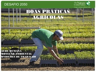 DESAFIO 2050

BOAS PRÁTICAS
AGRÍCOLAS

SAÚDE HUMANA
PROTEÇÃO AMBIENTAL
CONDIÇÕES DE TRABALHO

 