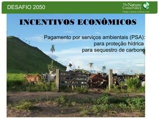 DESAFIO 2050

INCENTIVOS ECONÔMICOS
Pagamento por serviços ambientais (PSA):
para proteção hídrica
para sequestro de carbono

 