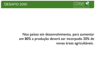 DESAFIO 2050

Nos países em desenvolvimento, para aumentar
em 80% a produção deverá ser incorpodo 20% de
novas áreas agricultáveis.

 