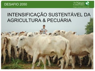DESAFIO 2050

INTENSIFICAÇÃO SUSTENTÁVEL DA
AGRICULTURA & PECUÁRIA

 