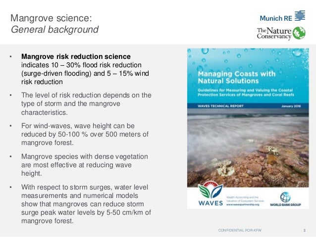 Resilience Bond / Insurance Concept: mangrove case study