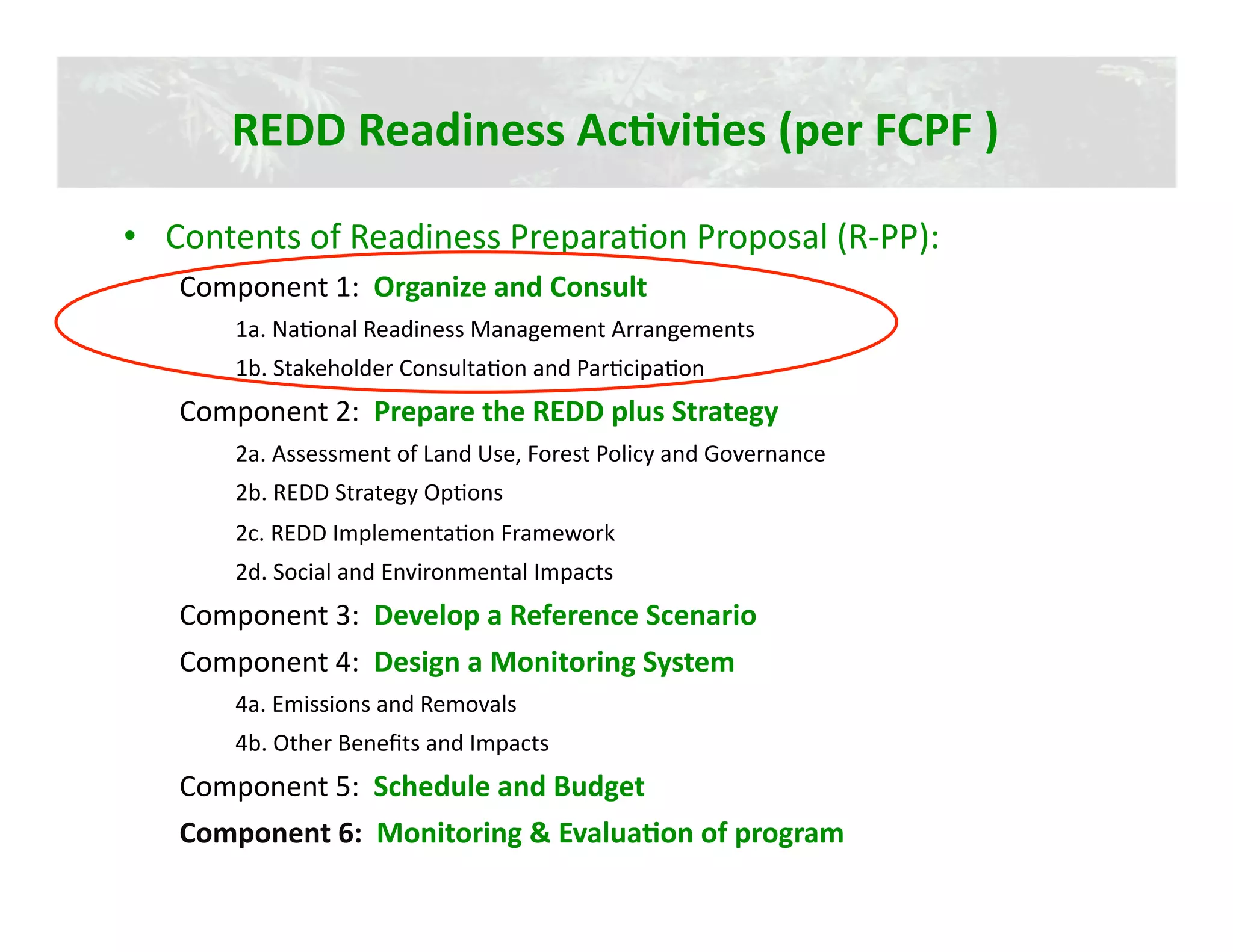 REDD Readiness AcJviJes (per FCPF ) 

•  Contents of Readiness Prepara2on Proposal (R‐PP): 
   Component 1:  Organize and Consult 
       1a. Na2onal Readiness Management Arrangements 
       1b. Stakeholder Consulta2on and Par2cipa2on 
   Component 2:  Prepare the REDD plus Strategy 
       2a. Assessment of Land Use, Forest Policy and Governance 
       2b. REDD Strategy Op2ons 
       2c. REDD Implementa2on Framework 
       2d. Social and Environmental Impacts 
   Component 3:  Develop a Reference Scenario 
   Component 4:  Design a Monitoring System 
       4a. Emissions and Removals 
       4b. Other Beneﬁts and Impacts 
   Component 5:  Schedule and Budget 
   Component 6:  Monitoring & EvaluaJon of program 
 