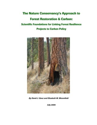The Nature Conservancy’s Approach to
       Forest Restoration & Carbon:
Scientific Foundations for Linking Forest Resilience
              Projects to Carbon Policy




      By David J. Ganz and Elizabeth W. Bloomfield


                          July 2009
 