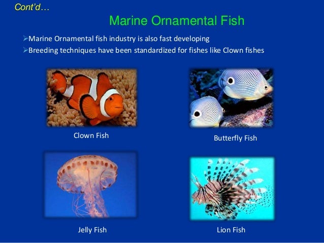 Oscar fish breeding in tamil