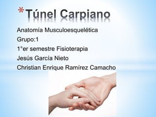 Anatomía Musculoesquelética
Grupo:1
1°er semestre Fisioterapia
Jesús García Nieto
Christian Enrique Ramírez Camacho
*
 