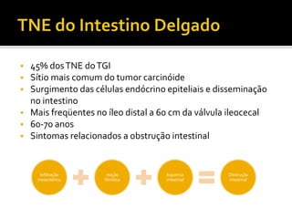  45% dos TNE do TGI
 Sítio mais comum do tumor carcinóide
 Surgimento das células endócrino epiteliais e disseminação
  no intestino
 Mais freqüentes no íleo distal a 60 cm da válvula ileocecal
 60-70 anos
 Sintomas relacionados a obstrução intestinal



     Infiltração     reação         Isquemia       Obstrução
    mesentérica     fibrótica       intestinal     intestinal
 