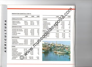 ©
w
w
w
.m
useodelaexpo92.com
 