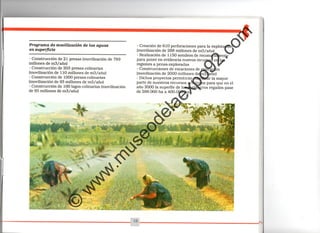 ©
w
w
w
.m
useodelaexpo92.com
 