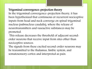 Trigeminal convergence-projection theory
In the trigeminal convergence-projection theory, it has
been hypothesized that continuous or recurrent nociceptive
inputs from head and neck converge on spinal trigeminal
nucleus (subnucleus caudalis), where the release of
neurotransmitters and vasoactive substances may be
promoted.
This release decreases the threshold of adjacent second-
order neurons that receive input from sites other than
nociceptive sources.
The signals from these excited second-order neurons may
be transmitted to the thalamus, limbic system, and
somatosensory cortex and interpreted as pain.
 