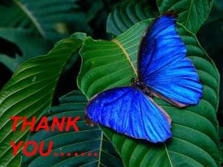THANK
YOU…….
 