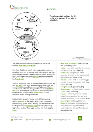 Tổng hợp bài mẫu IELTS Writing Task 1 - Simon - ielts-nguyenhuyen.pdf