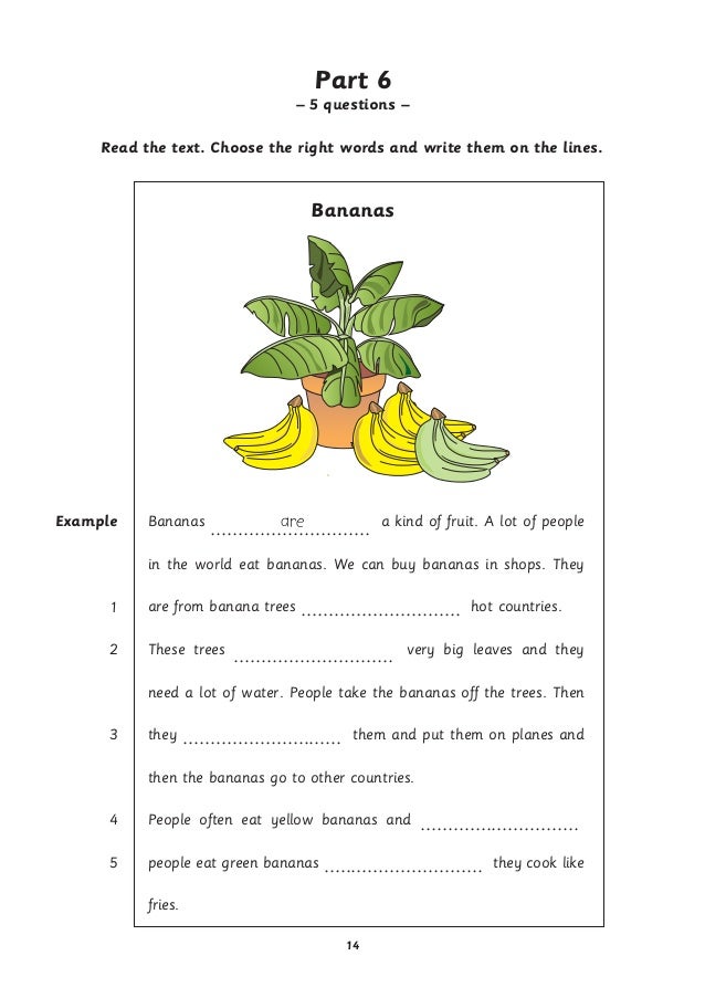 Tổng hợp đề thi movers ( reading and writing speaking 