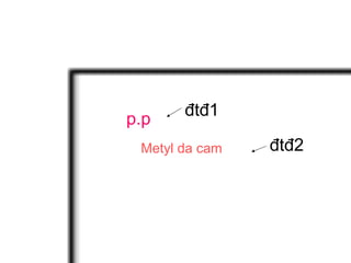 đtđ1
p.p
đtđ2Metyl da cam
 