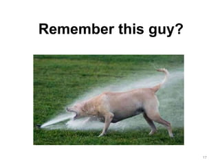 17
Remember this guy?
 