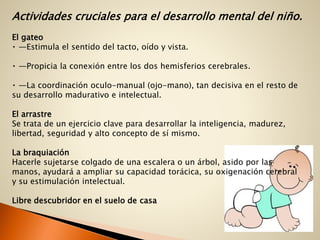 Actividades cruciales para el desarrollo mental del niño.
El gateo
—Estimula el sentido del tacto, oído y vista.
—Propicia la conexión entre los dos hemisferios cerebrales.
—La coordinación oculo-manual (ojo-mano), tan decisiva en el resto de
su desarrollo madurativo e intelectual.
El arrastre
Se trata de un ejercicio clave para desarrollar la inteligencia, madurez,
libertad, seguridad y alto concepto de sí mismo.
La braquiación
Hacerle sujetarse colgado de una escalera o un árbol, asido por las
manos, ayudará a ampliar su capacidad torácica, su oxigenación cerebral
y su estimulación intelectual.
Libre descubridor en el suelo de casa
 