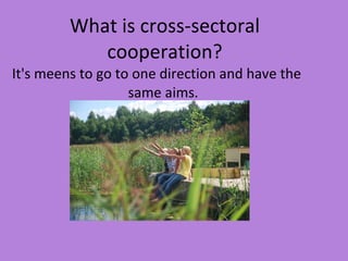 What is cross-sectoral cooperation? ,[object Object],[object Object]