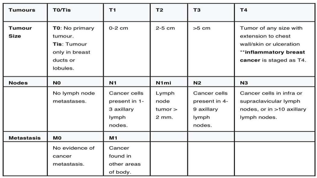 Tnm Classification Of Breast Carcinoma