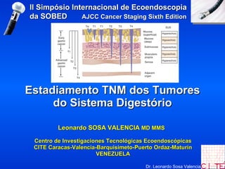 Estadiamento TNM dos Tumores do Sistema Digestório Leonardo SOSA VALENCIA  MD MMS  Centro de Investigaciones Tecnológicas Ecoendoscópicas CITE Caracas-Valencia-Barquisimeto-Puerto Ordaz-Maturín VENEZUELA 